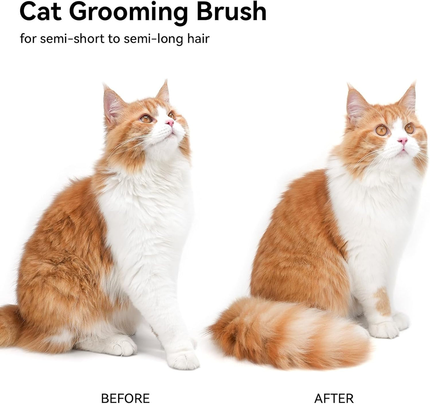 Cat Brush for Shedding, Cat Brushes for Indoor Cats, Cat Brush for Long or Short Haired Cats, Cat Hair Brush Cat Grooming Deshedding Brush for Dog Kitten Horse Massage Removes Loose Fur, White
