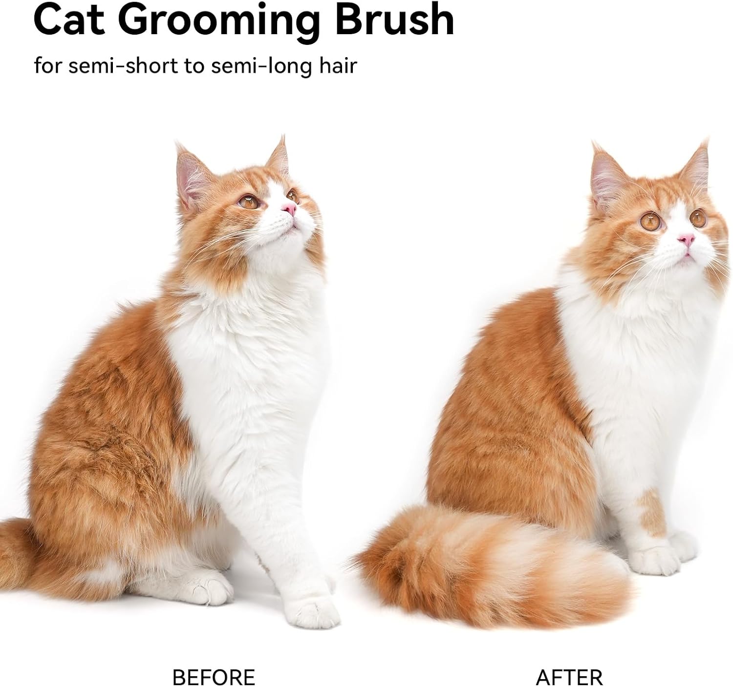 Cat Brush for Shedding, Cat Brushes for Indoor Cats, Cat Brush for Long or Short Haired Cats, Cat Hair Brush Cat Grooming Deshedding Brush for Dog Kitten Horse Massage Removes Loose Fur, White