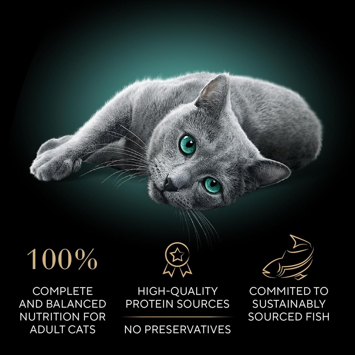 Perfect Portions Wet Cat Food Cuts in Gravy Variety Pack, Roasted Chicken Entree, with Sustainable Salmon, and Tender Turkey Entree, 2.6 Oz. Twin-Pack Trays (24 Count, 48 Servings)