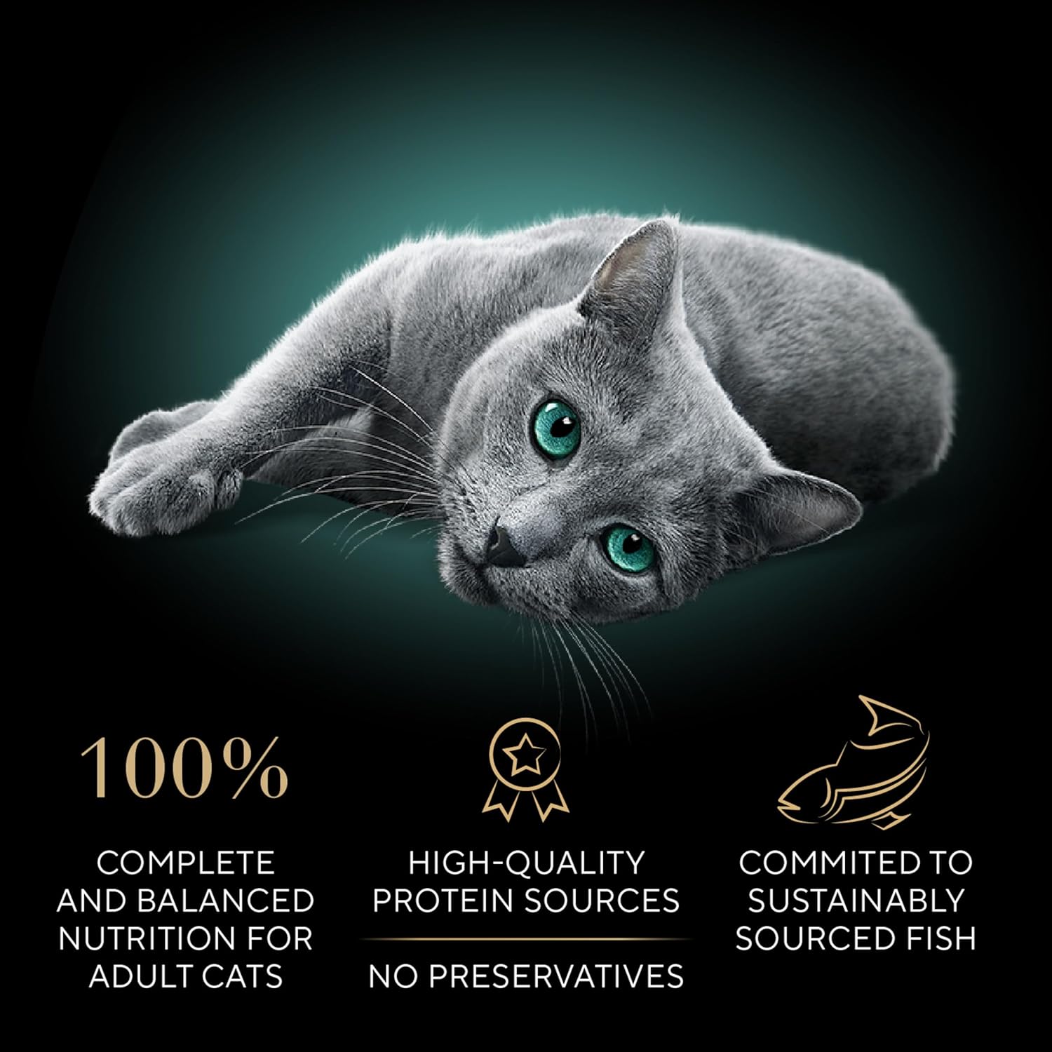 Perfect Portions Wet Cat Food Cuts in Gravy Variety Pack, Roasted Chicken Entree, with Sustainable Salmon, and Tender Turkey Entree, 2.6 Oz. Twin-Pack Trays (24 Count, 48 Servings)
